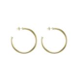 Everybody's Favorite Petite Hoops- Brushed Gold